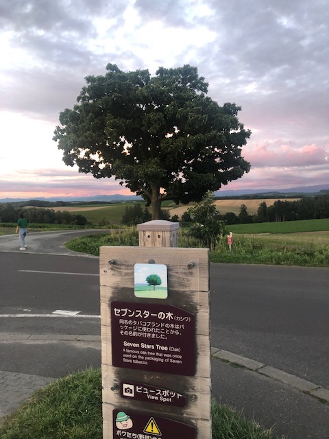 セブンスターの木　札幌市内・札幌市内近郊の方大歓迎！中央区・北区・南区・西区・東区・手稲区・白石区・厚別区・北広島・石狩市・江別・千歳・恵庭・小樽等の近郊地域からの問い合わせもあります。就労継続支援A型や札幌の就労移行支援からの移籍も可能です。無料送迎・昼食・工賃に関してはお問い合わせ下さい。体験利用あり。引きこもり・精神障害・統合失調症・うつ病・気分変調症・ADHD・ASDの方からの問い合わせが多いです。相談支援員さんを通していただくか、セルフプランも可能です。好きな日、好きな時間、週1回等、自分のペースで気軽に通所できます。ONEGAME（ワンゲーム）札幌清田では、新規メンバー(利用者さん)を随時募集中です。札幌の就労継続支援B型をお探しの方は、お気軽にお問い合わせ下さい。eスポーツ・ゲーム技術の向上をしながら動画制作・映像編集・データ入力等のパソコンを使った作業を行いステップアップ可能です。また、カルチャーブースも併設しています。eスポーツ以外でもハンドメイドアクセサリー（ピアス・イヤリング）の制作・レジン製作等の手作り商品制作・写真撮影・作業工程動画編集・データ管理・ブログやSNS発信・ネット通販出品・商品発送等を行っていただきます。eスポーツ専門B型事業所　利用者さん募集