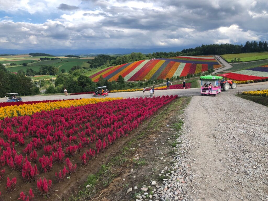 色彩の丘　札幌市内・札幌市内近郊の方大歓迎！中央区・北区・南区・西区・東区・手稲区・白石区・厚別区・北広島・石狩市・江別・千歳・恵庭・小樽等の近郊地域からの問い合わせもあります。就労継続支援A型や札幌の就労移行支援からの移籍も可能です。無料送迎・昼食・工賃に関してはお問い合わせ下さい。体験利用あり。引きこもり・精神障害・統合失調症・うつ病・気分変調症・ADHD・ASDの方からの問い合わせが多いです。相談支援員さんを通していただくか、セルフプランも可能です。好きな日、好きな時間、週1回等、自分のペースで気軽に通所できます。ONEGAME（ワンゲーム）札幌清田では、新規メンバー(利用者さん)を随時募集中です。札幌の就労継続支援B型をお探しの方は、お気軽にお問い合わせ下さい。eスポーツ・ゲーム技術の向上をしながら動画制作・映像編集・データ入力等のパソコンを使った作業を行いステップアップ可能です。また、カルチャーブースも併設しています。eスポーツ以外でもハンドメイドアクセサリー（ピアス・イヤリング）の制作・レジン製作等の手作り商品制作・写真撮影・作業工程動画編集・データ管理・ブログやSNS発信・ネット通販出品・商品発送等を行っていただきます。eスポーツ専門B型事業所　利用者さん募集